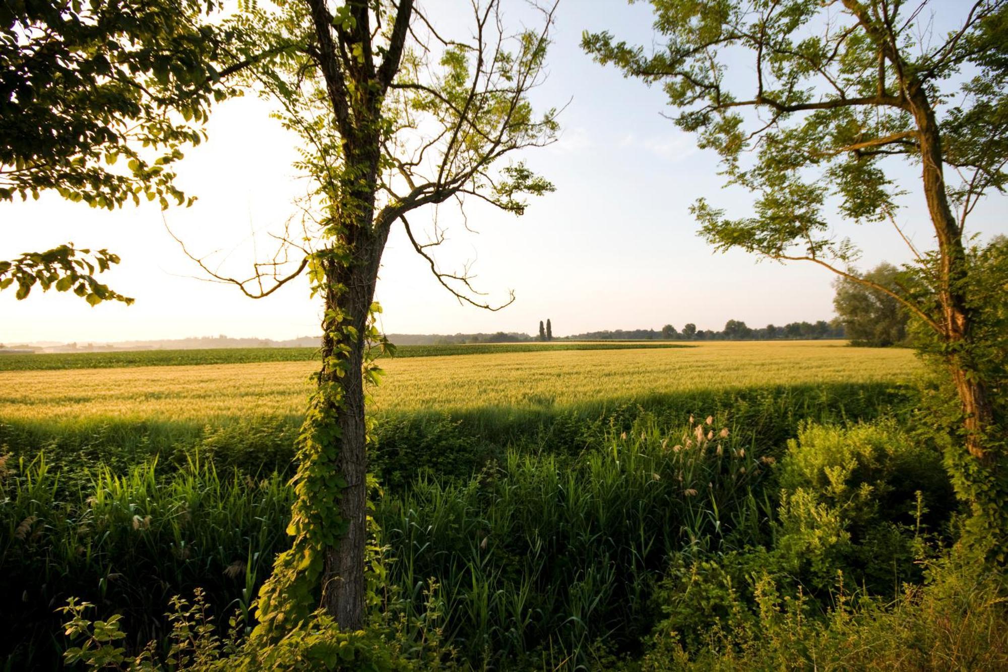 Agriturismo Cascina Roveri 몬잠바노 외부 사진